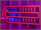 news004.jpg
