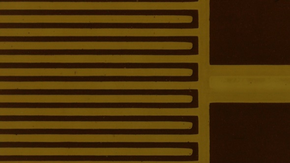 LvV